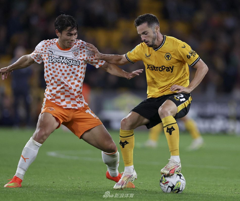 的重要因素 的重要因素